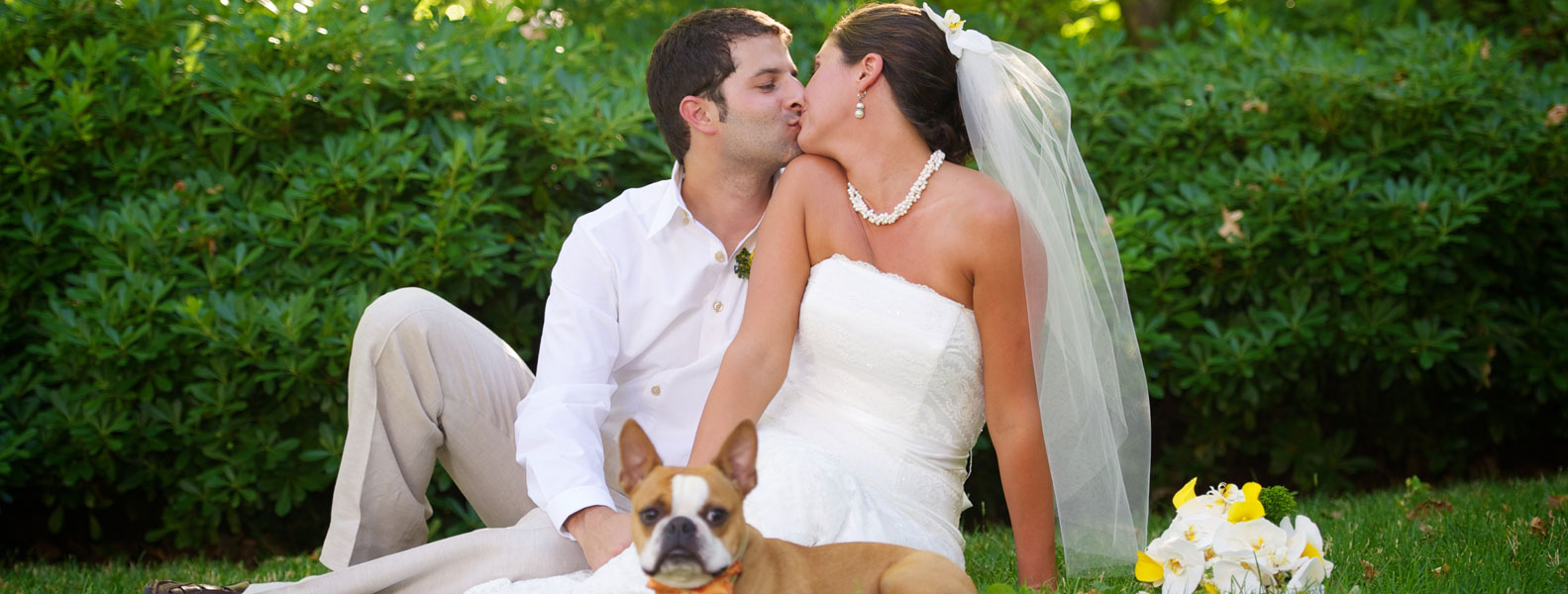 【完整安装包】官方下载的DDOS攻击测试